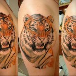 реалистичная тату с тигром - мужская татуировка на плече