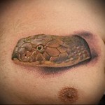тату голова змеи - мужская татуировка на грудь
