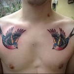 тату две цветные птички - мужская татуировка на грудь