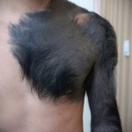 тату имитируящая шерсть оборотня - мужская татуировка на плече
