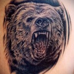 тату медведь рычит - мужская татуировка на плече