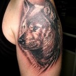 тату морда волка - мужская татуировка на плече