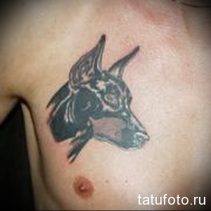 Фото тату головы собаки на груди. Простой, но выразительный рисунок в черных тонах, выполненный в минималистичном стиле.