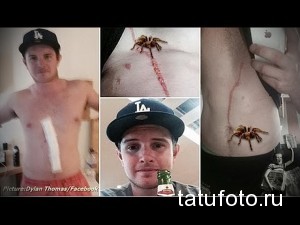 Фото тату реалистичного паука на животе. Рисунок имитирует паука, ползущего по коже, с детально проработанными лапами и телом.