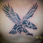 тату орел как трафарет - мужская татуировка на грудь
