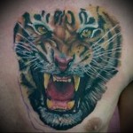 тату оскал тигра (классика) - мужская татуировка на грудь