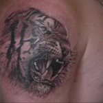 тату оскал тигра - - мужская татуировка на плече