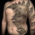 тату паппоротник - мужская татуировка на грудь