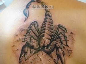 Фото татуировки большого скорпиона на спине. Детализированный рисунок с проработкой текстуры панциря и жала. Черно-серые тона, реалистичный стиль.