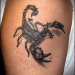 тату скорпион - мужская татуировка на плече