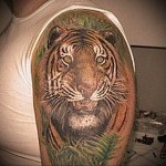 тату тигр в зарослях - мужская татуировка на плече