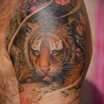 тату тигр пьет воду - мужская татуировка на плече