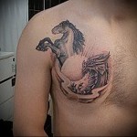татуировка жеребец стал на дыбы - мужская татуировка на грудь