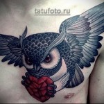 татуировка сова которая несет в лапах сердце