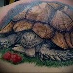 татуировка черепаха и клубника на лопатке