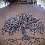 Дерево жизни тату на спине у девушки