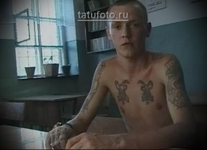 Фото тату на груди мужчины: два стилизованных козла, выполненных в черно-белой гамме, с использованием плотных линий и штриховки. Традиционный тюремный рисунок татуировки.
