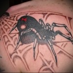 воровская татуировка паук в паутине