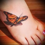 butterfly tattoo 3d photo