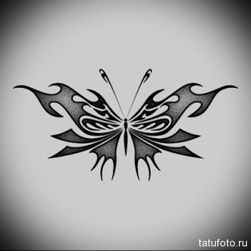 Бабочки тату эскизы – в помощь при выборе татуировки