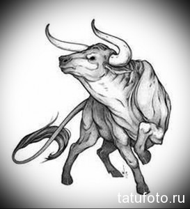 Черно-белый эскиз татуировки быка, выполненный карандашом с акцентом на детализацию мускулатуры и выразительный взгляд.