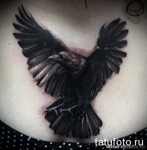 Татуировка ворона на груди, выполненная в стиле реализм. Черный ворон с расправленными крыльями, детализированные перья, серая цветовая гамма.