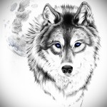 эскиз тату волк с голубыми глазами