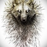 эскиз тату волк с ледяными глазами