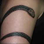 snake tattoo around the arm