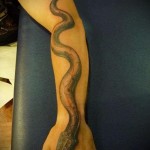 snake tattoo on his arm