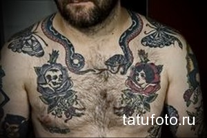 Фото тату: большая татуировка змеи, обвивающейся вокруг черепов и роз на мужской груди, выполненная в стиле олдскул.