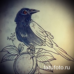 Фото эскиза татуировки с изображением ворона, сидящего на карманных часах. Рисунок выполнен в минималистичном стиле с использованием черных и серых оттенков.