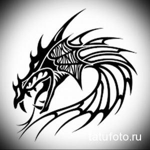 Черно-белое фото тату дракона, выполненного в стиле трайбл. Изображение демонстрирует свирепый взгляд и детализированную проработку головы.