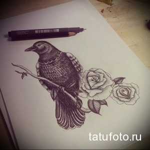 Фото эскиза татуировки с изображением ворона, сидящего на ветке с распустившимися розами. Детализированный рисунок в черно-белой гамме.