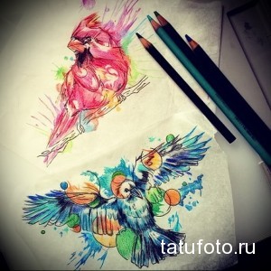 Два эскиза татуировок с изображением птиц, выполненных в технике акварели. Яркие цвета и плавные переходы создают эффект легкости и воздушности.