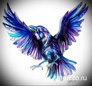 эскиз цветной ворон тату 2