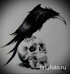 Фото эскиза татуировки с изображением ворона, сидящего на человеческом черепе. Детализированный рисунок в черно-белой гамме, передающий атмосферу таинственности.