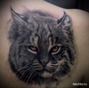 tattoo lynx 12