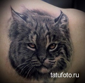 Фото реалистичной татуировки портрета пушистой рыси на спине. Детализированный рисунок татуировки с мягкой шерстью и выразительными глазами.
