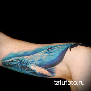 Значение тату кит 123123123