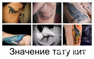 Фотоколлаж с различными татуировками китов: реалистичные изображения, силуэты, акварельные рисунки, выполненные в разных стилях и техниках.