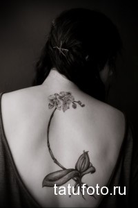Фото тату орхидеи на спине. Черно-белый рисунок с детально проработанными лепестками и стеблем, выглядит элегантно и стильно.