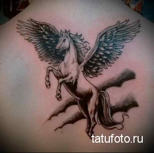 Фото черно-белой татуировки пегаса на спине мужчины. Детализированный рисунок с акцентом на крылья и мускулатуру коня.