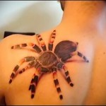 фото татуировки паук на лопатке