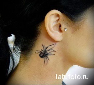 Фото миниатюрной татуировки паука, расположенной за ухом девушки. Рисунок выполнен в черном цвете, с тонкими линиями.