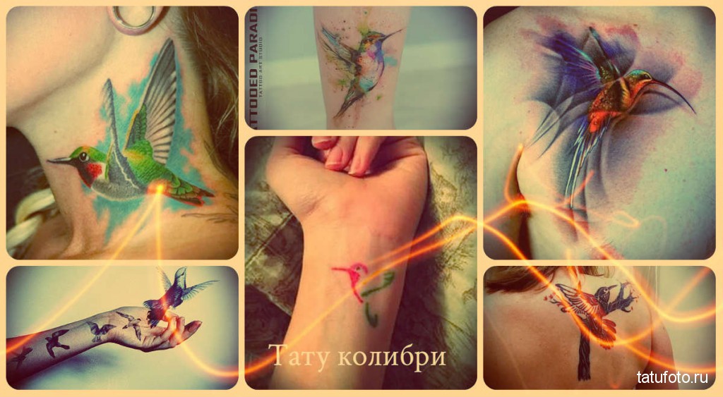 Тату колибри - примеры готовых татуировок на фото