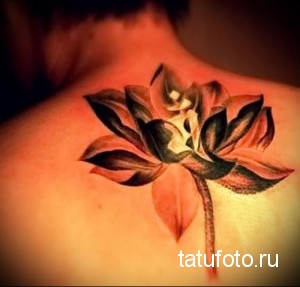 Фото татуировки лотоса на спине, выполненной в черно-серых тонах. Детализированный рисунок с использованием теней и полутонов.