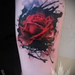красная роза на черном фоне - тату акварель фото