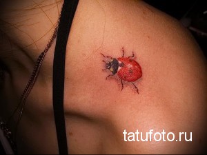 Фото тату маленькой божьей коровки на плече. Яркий и милый рисунок татуировки, выполненный в красных и черных цветах.