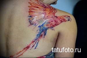 Фото тату: акварельный попугай в полете на спине, выполненный в ярких красных, оранжевых и голубых тонах, с эффектом разбрызганной краски.